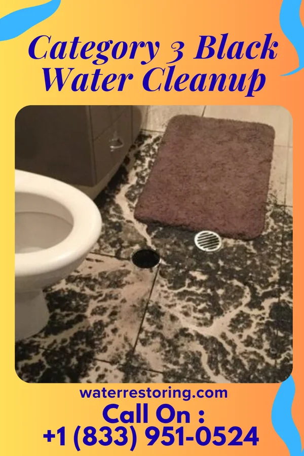 Category 3 Black Water Cleanup in Bokoshe, OK