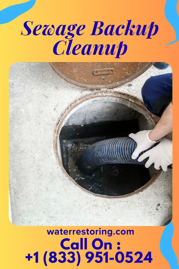 Sewage Backup Cleanup in Bokoshe, OK